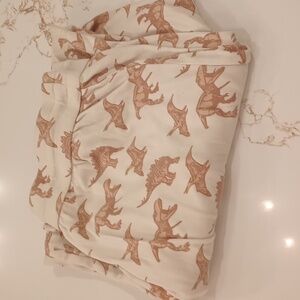 Kate Quinn Organic Cotton Dinosaur Men's Pajama Pants